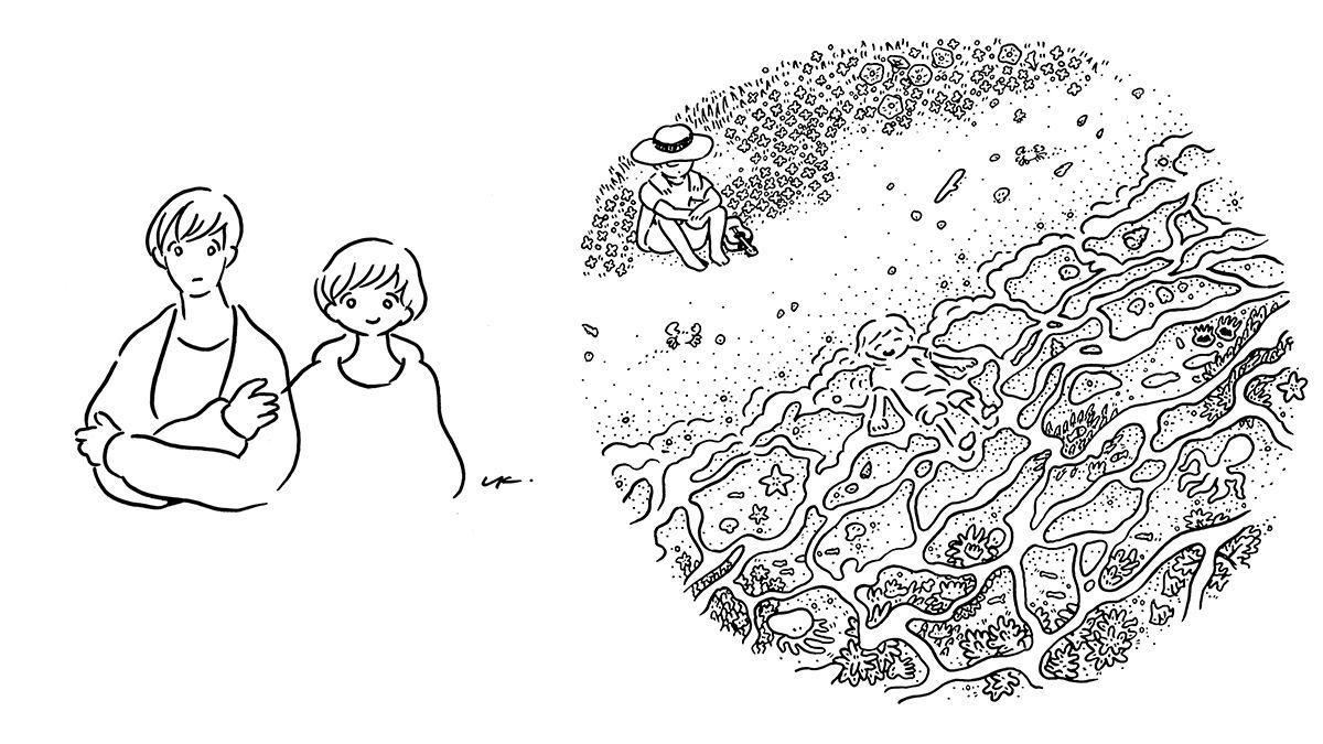 mceclip19_c505860f3b